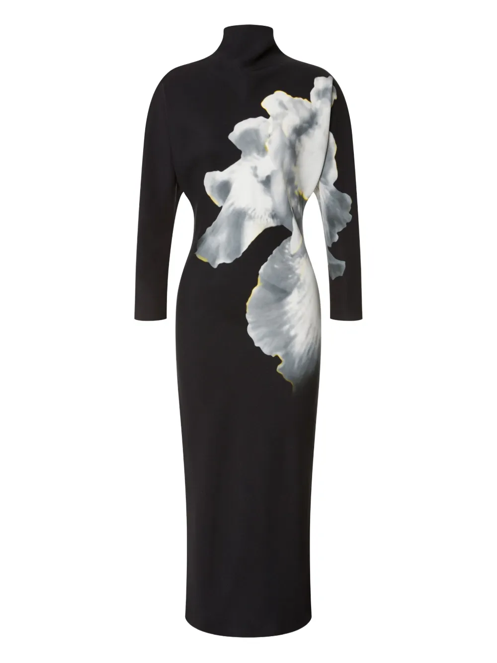 Alberta Ferretti turtleneck floral-print dress | Black | Image 1