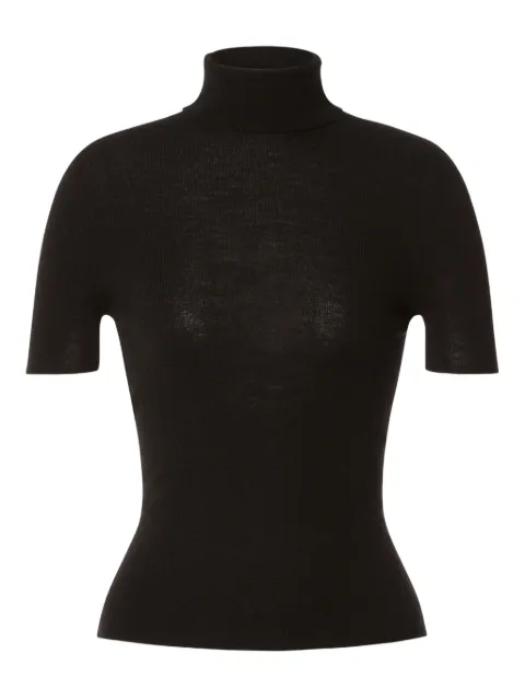 Alberta Ferretti roll-neck top
