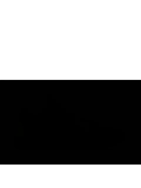 Nike Zoom Kobe 5 Protro "Indiana Fever" trainers