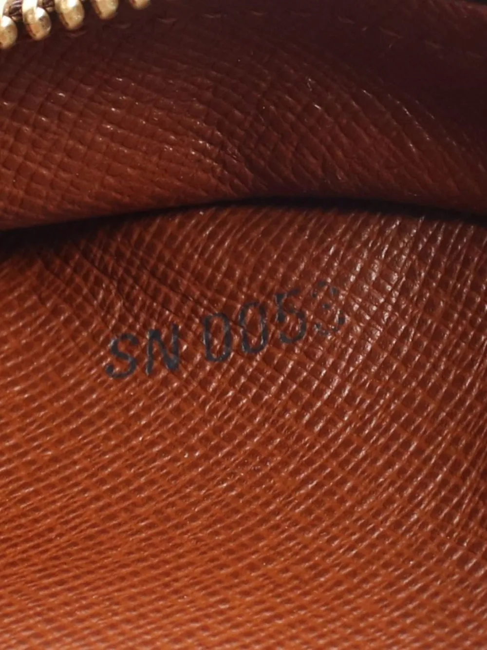 Pre-owned Louis Vuitton 2003 Blower Shoulder Bag In Brown