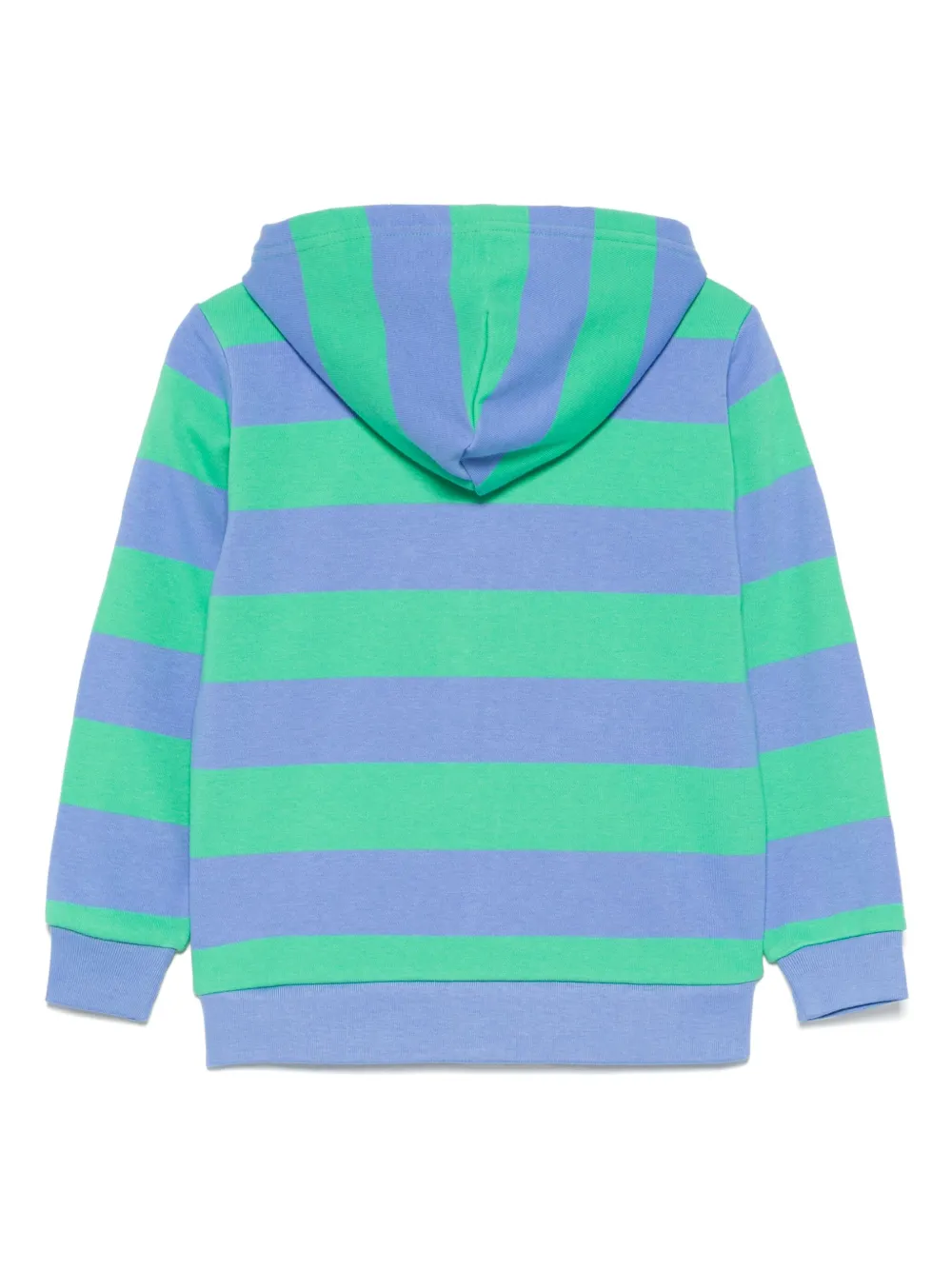 POLO RALPH LAUREN KIDS Hoodie met borduurwerk Blauw