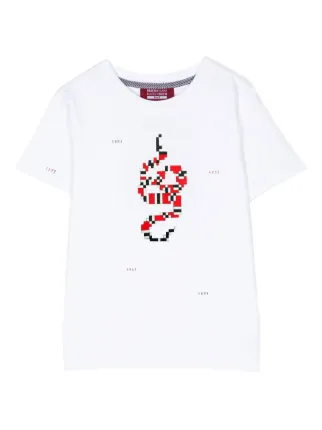 Mostly Heard Rarely Seen 8-Bit