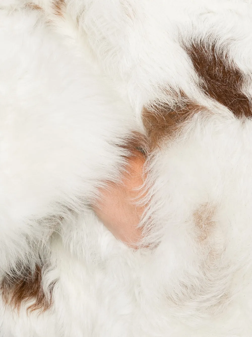 Zimmermann Hypnotic Spot Shearling Jacket In White
