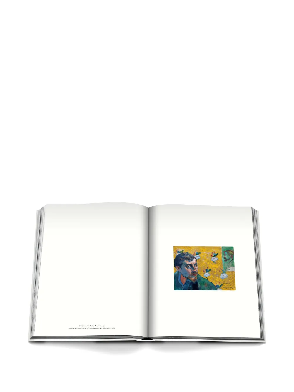 Self Portraits: From 1800 To The Present Book