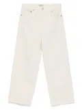 AGOLDE Lows Lung Baggy jeans - Neutrals