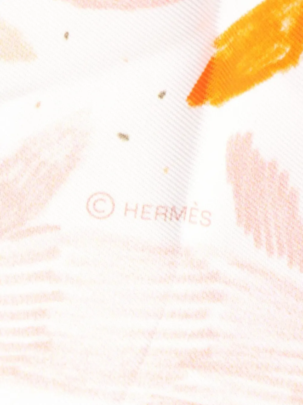 Hermès Pre-Owned 2010s Chacun Fait Son Nid scarf | Image 2
