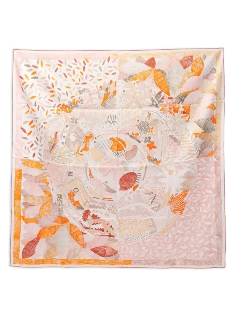 Hermès Pre-Owned 2010s Chacun Fait Son Nid scarf