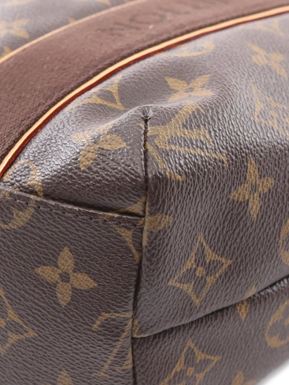 Pre-owned Louis Vuitton 2009 Hippopotamus Tote Bag In Brown