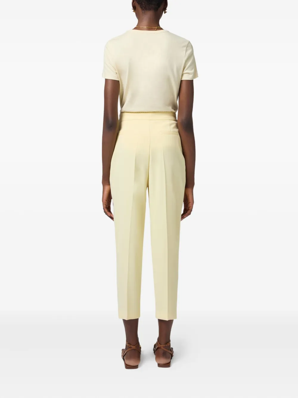Elisabetta Franchi pleat-detailed trousers Beige