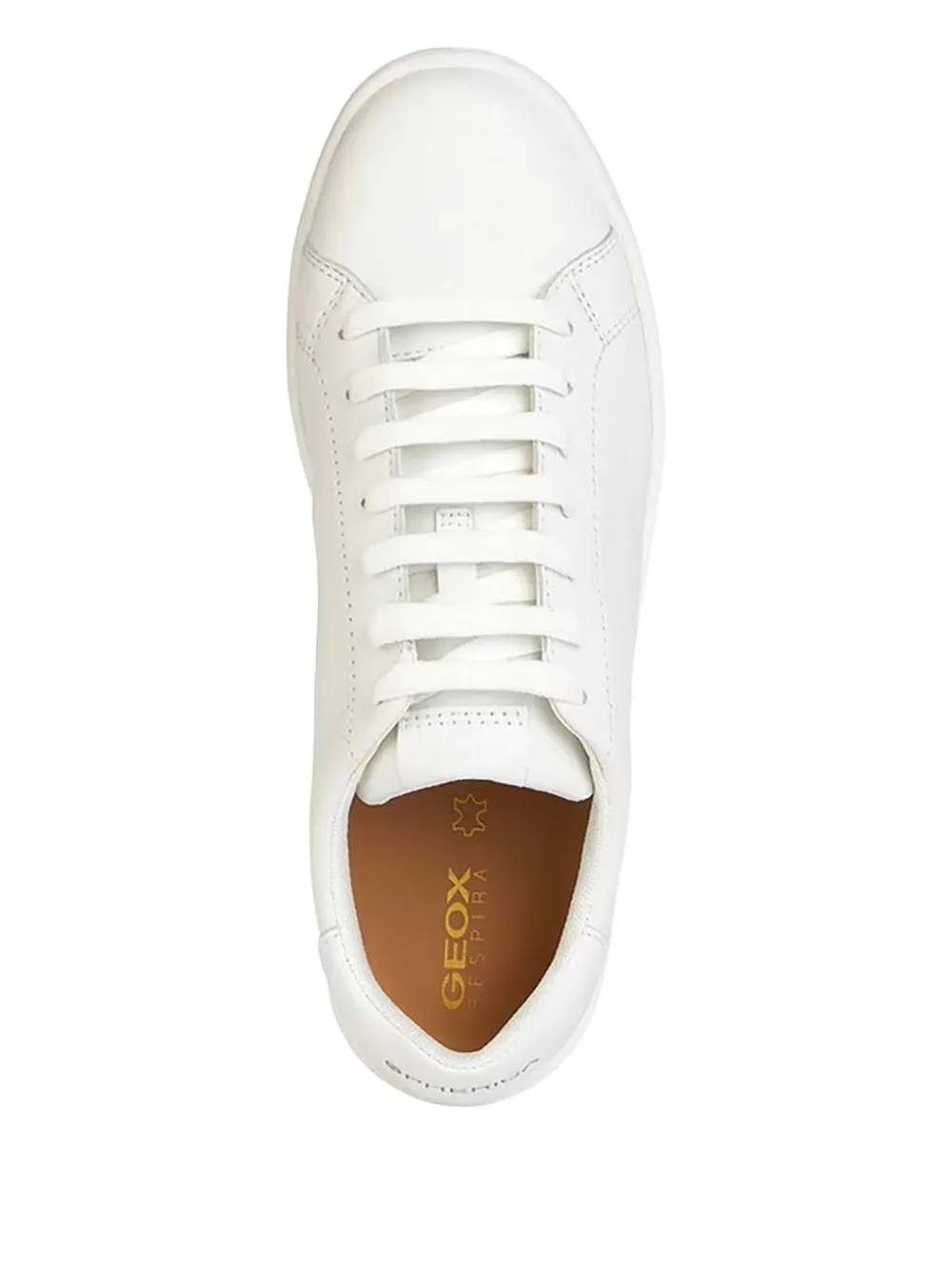Geox Spherica Ecub-1 sneakers White