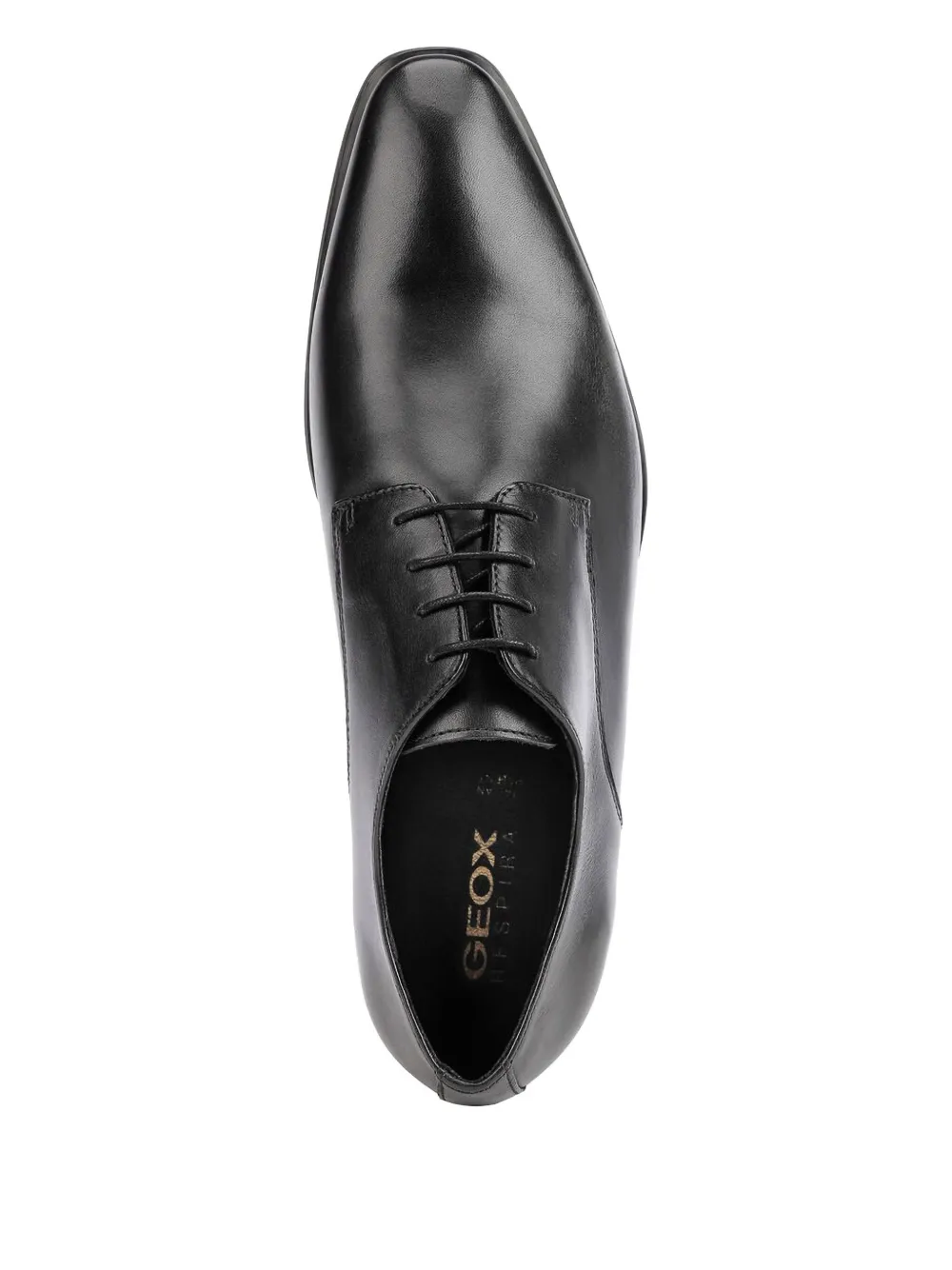 Geox High Life Leather Oxford Shoes In Black