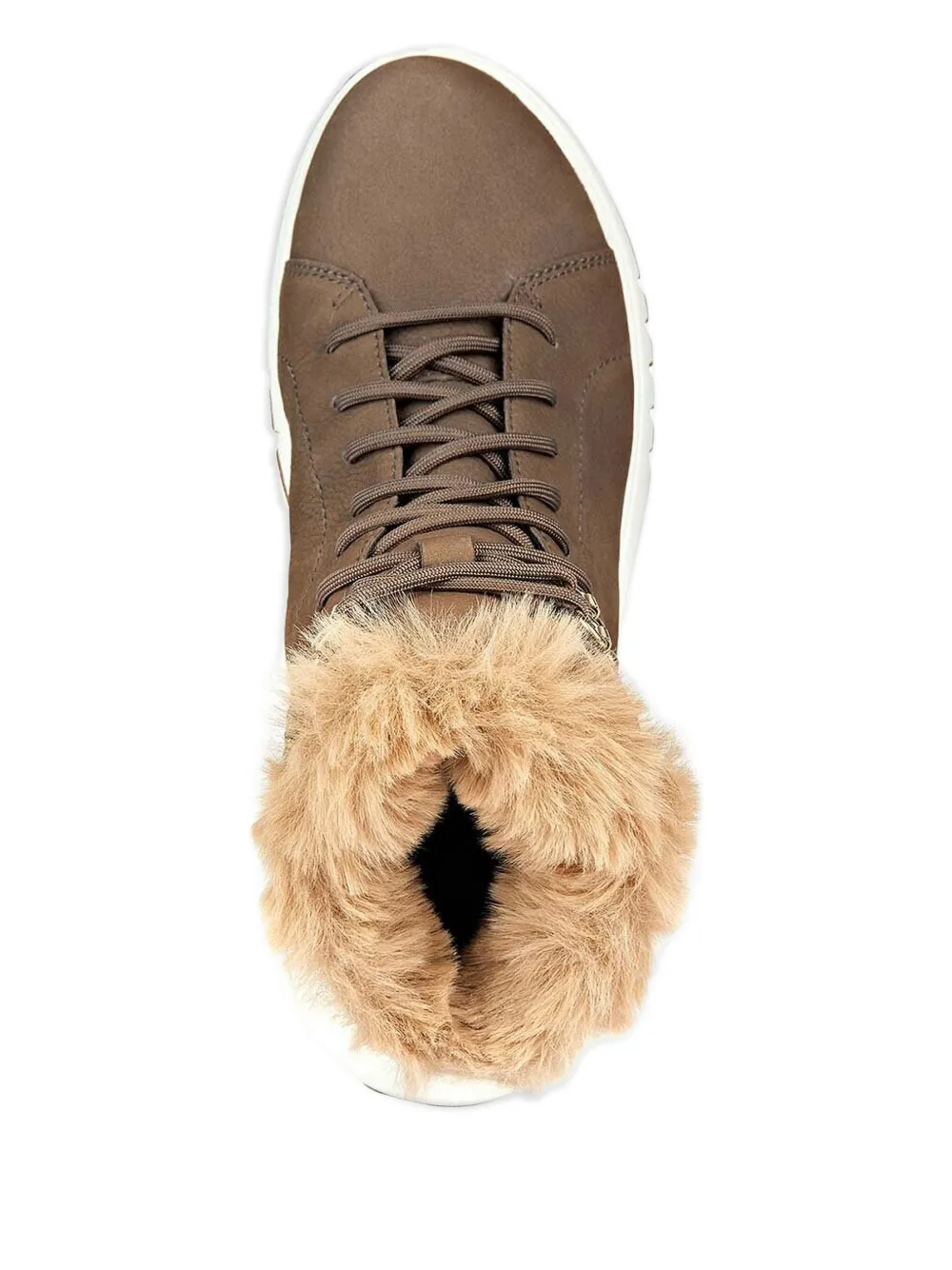 Geox trim-detail ankle boots Brown