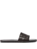 Scarosso Ulisses slides - Brown