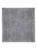 Zadig&Voltaire Kerry printed scarf - Grey