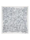 Zadig&Voltaire Kerry printed scarf - Neutrals