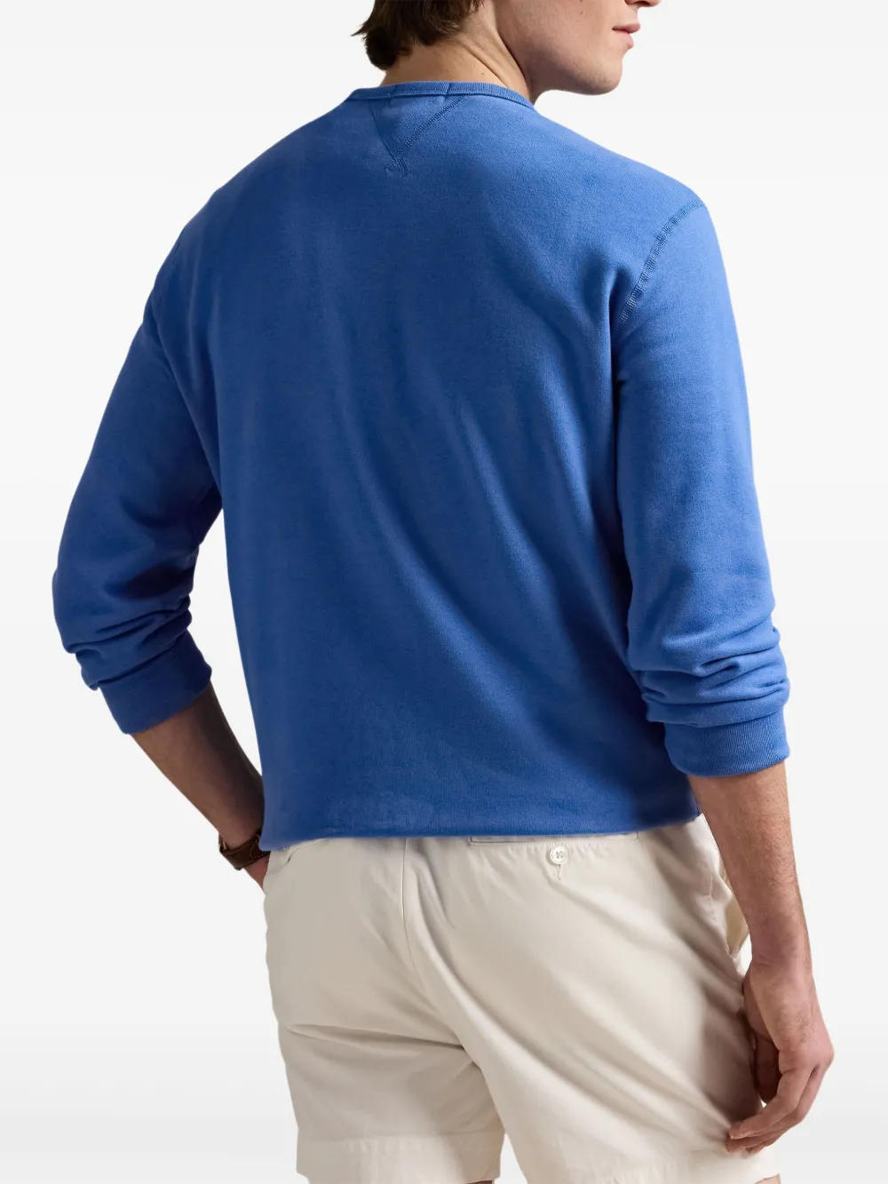 Polo Ralph Lauren The RL sweater Blauw