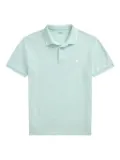 Polo Ralph Lauren oxford mesh polo shirt - Blue