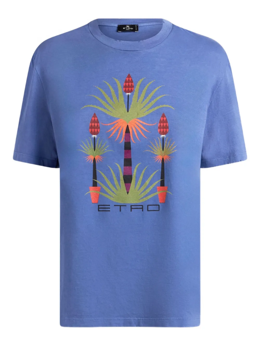 Etro X Agostino Iacurci Printed T-shirt