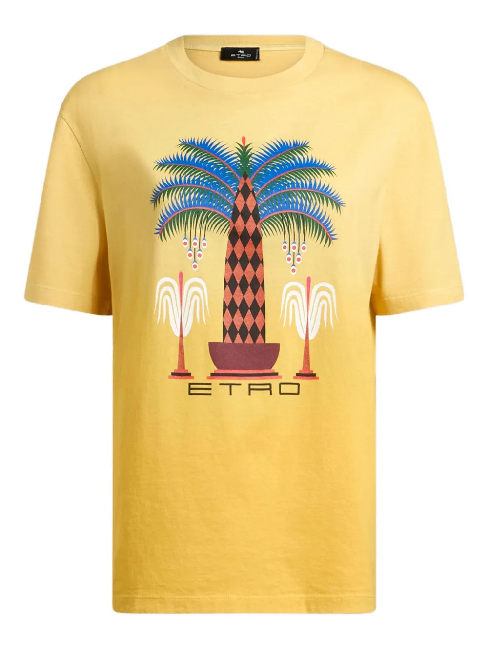 Etro X Agostino Iacurci Printed T-shirt