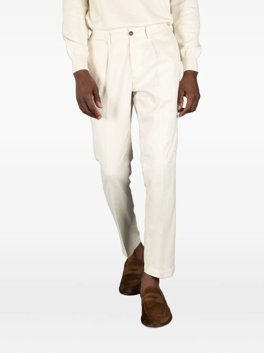 Devore Pleated Trousers In Neutral