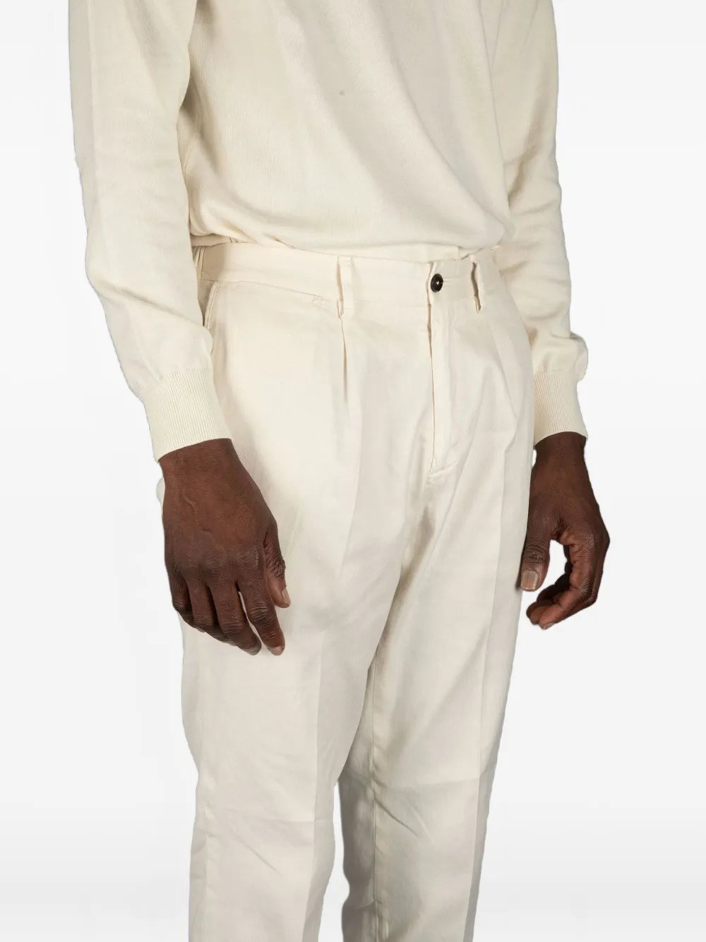 Devore Pleated Trousers In Neutral
