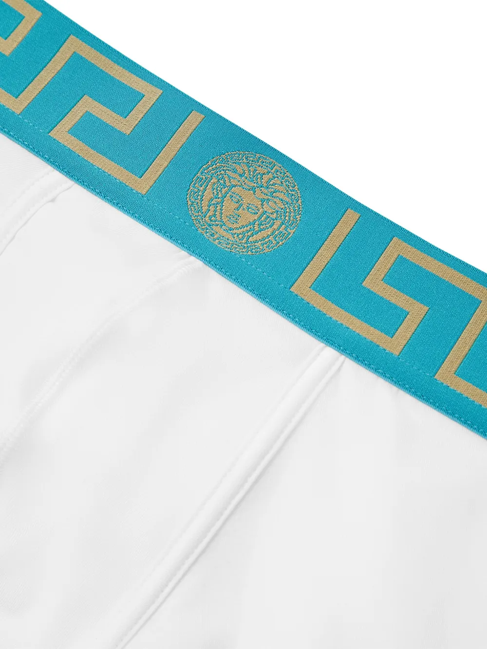 Versace Greca Border Long Trunks