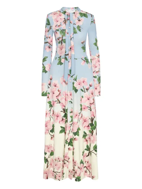 Oscar de la Renta Cherry Blossom ombré dress
