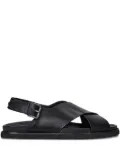 Polo Ralph Lauren Zane sandals - Black