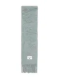 Acne Studios fringed scarf - Blue