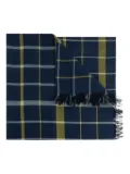 Homme Plissé Issey Miyake cotton scarf - Blue