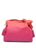 Loewe Pre-Owned 2010-2024 Nappa Flamenco Tassel 22 crossbody bag - Pink