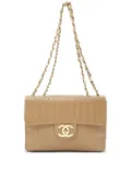 CHANEL Pre-Owned 1991-1994 Mademoiselle shoulder bag - Neutrals