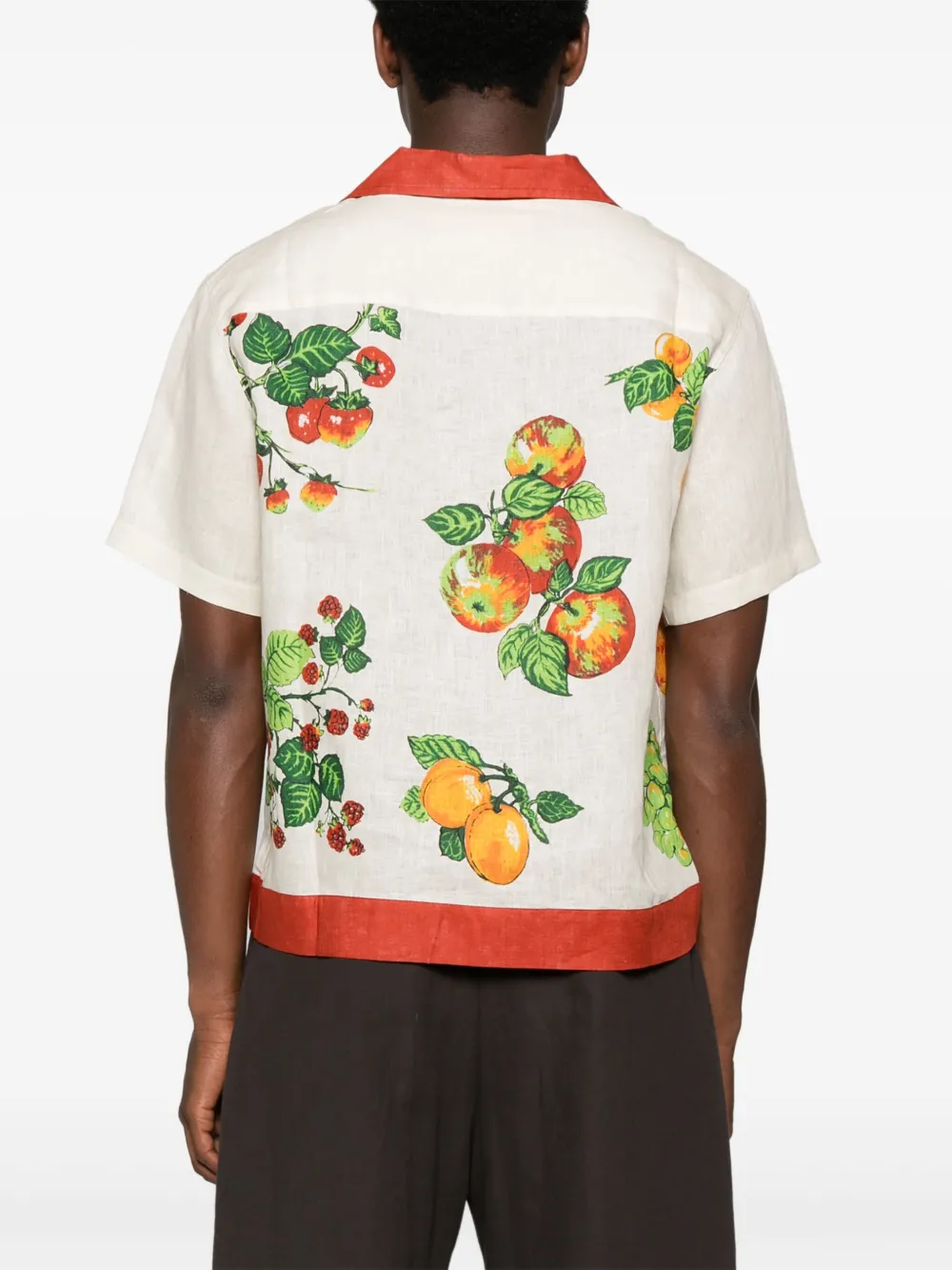S.s.daley Printed Shirt In Multi