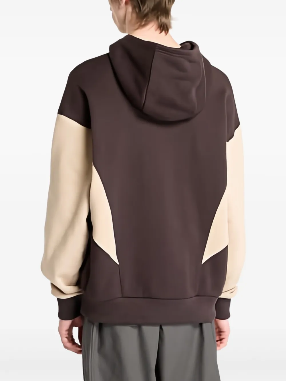 Reebok Tweekleurige hoodie Bruin