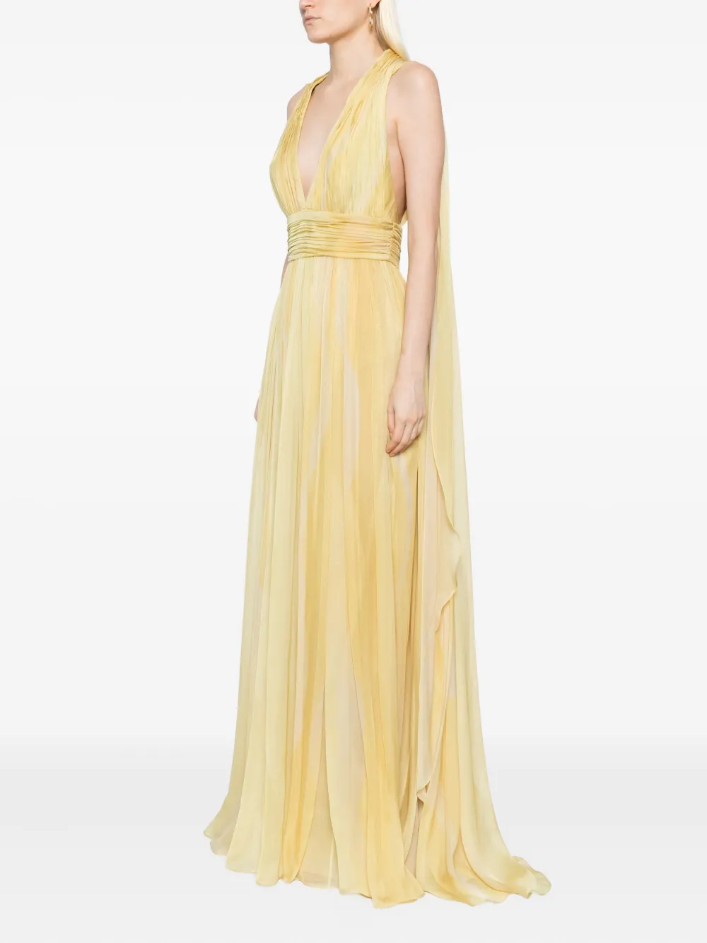 Elie Saab printed dress Geel