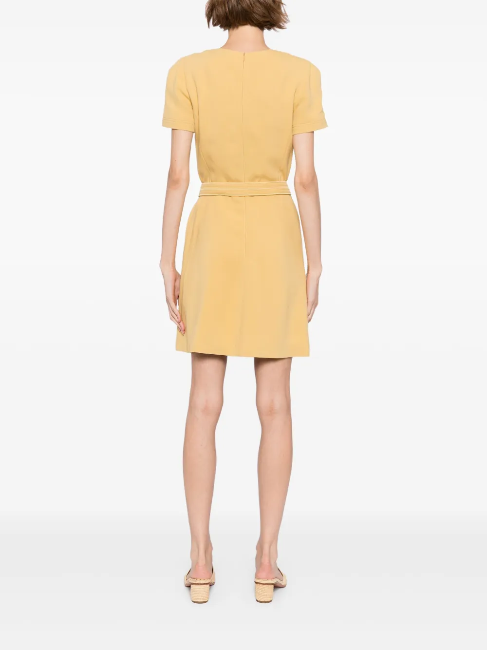 Elie Saab Mini-jurk met olifantgesp Beige