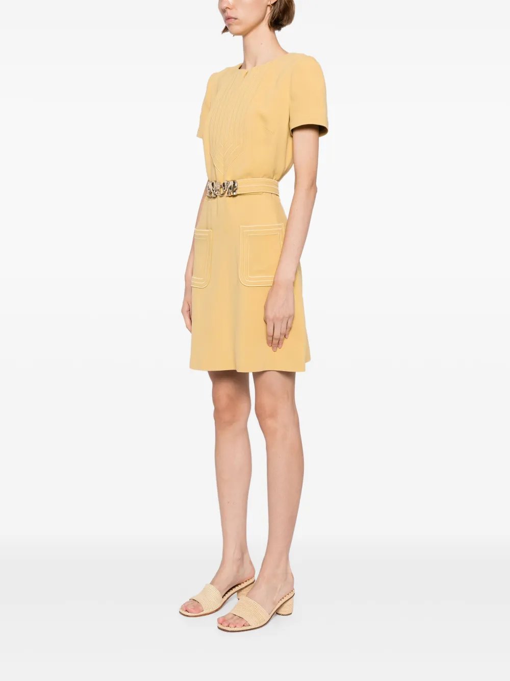 Elie Saab Mini-jurk met olifantgesp Beige