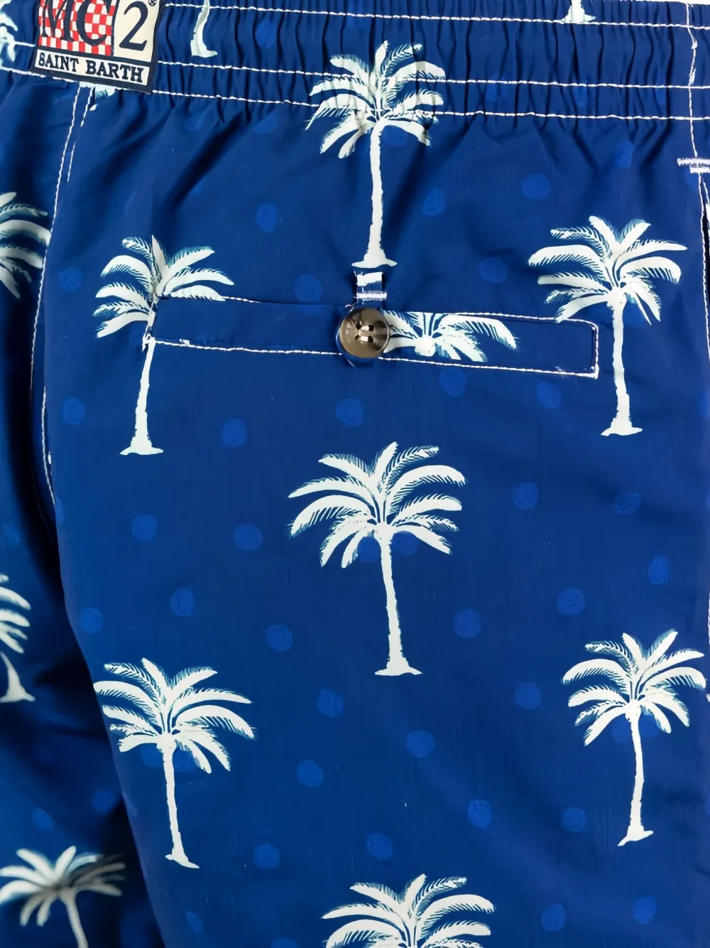 Mc2 Saint Barth Caprese Palm-tree Swim Shorts In Blue