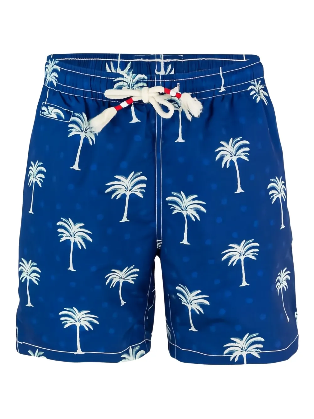 Mc2 Saint Barth Caprese Palm-tree Swim Shorts In Blue