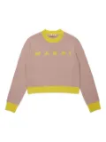 Marni Kids crew-neck sweater - Pink