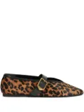 Schutz Vick ballet flats - Brown