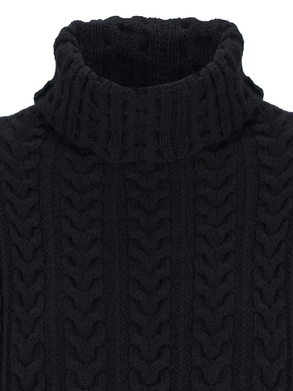 Laneus Cable-knit Roll-neck Sweater In Black
