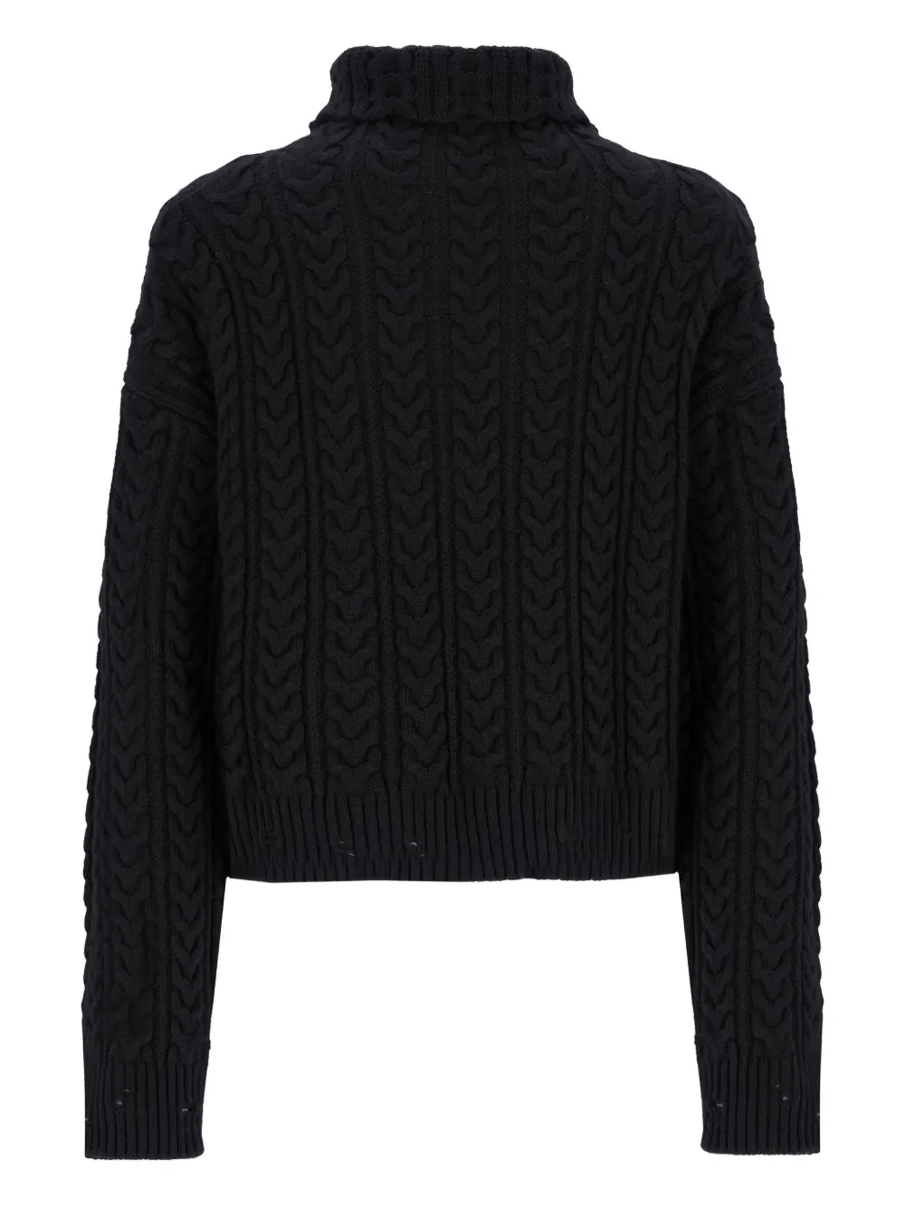Laneus Cable-knit Roll-neck Sweater In Black