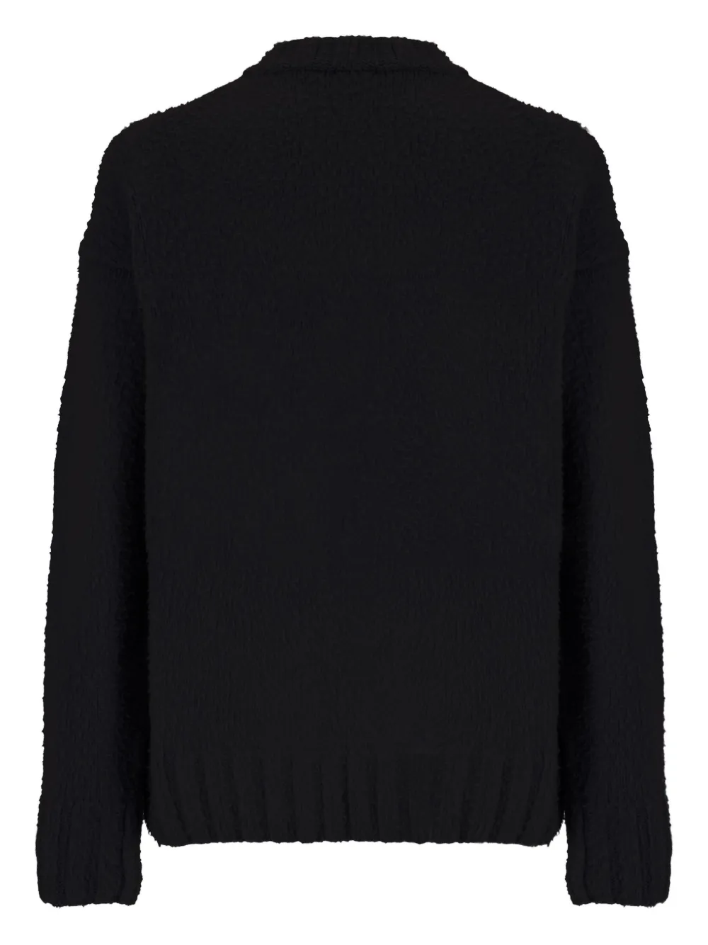 Laneus crew-neck wool sweater - Zwart