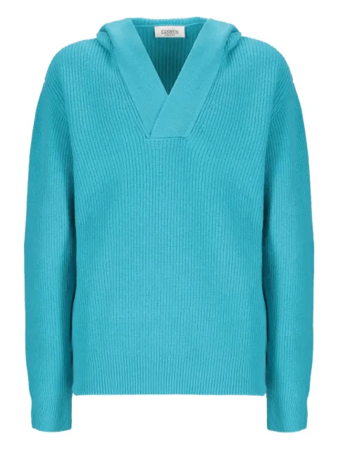 Laneus ribbed hooded sweater