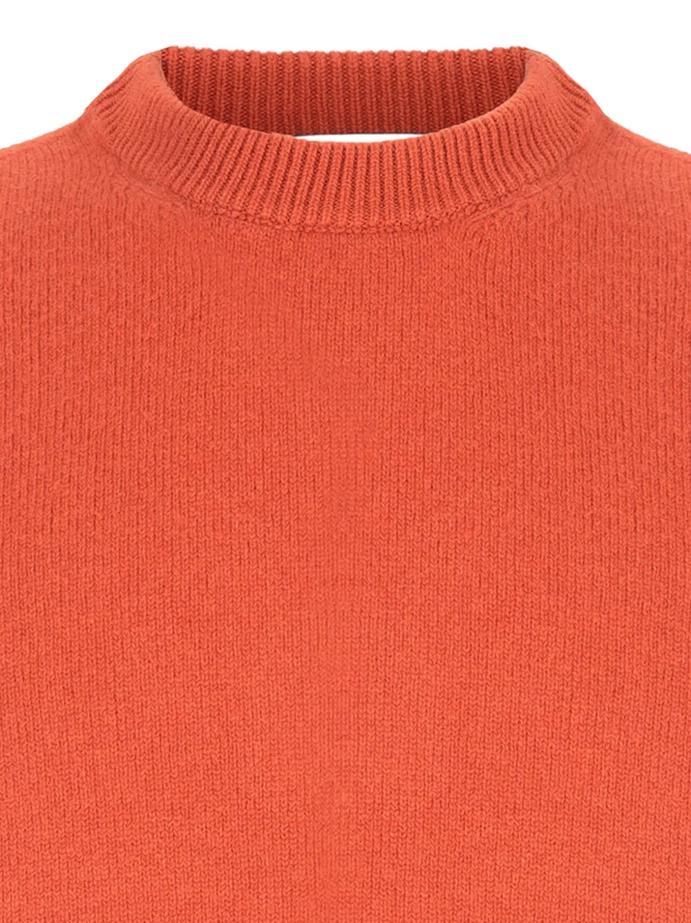 Laneus Crew-neck Sweater In Brown