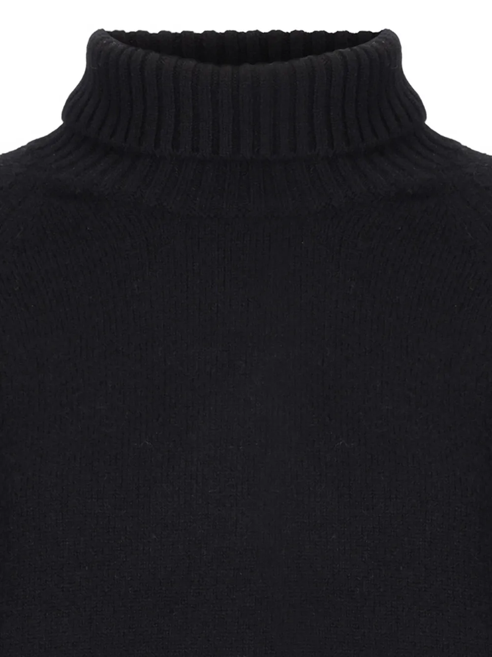Laneus Turtleneck Raglan-sleeves Sweater In Black