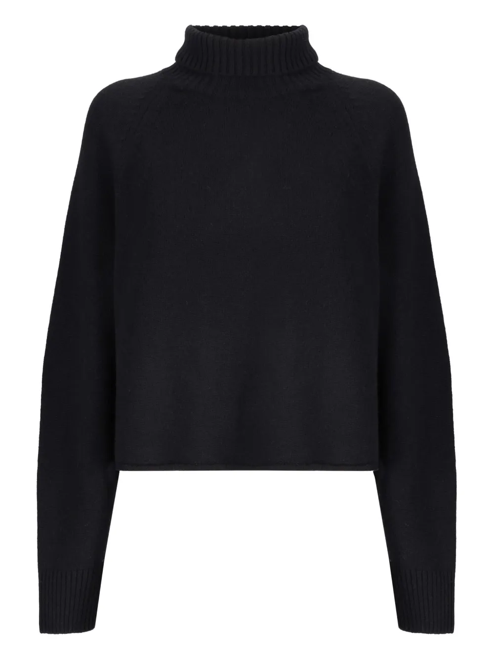 Laneus turtleneck raglan-sleeves sweater | Black | Image 1