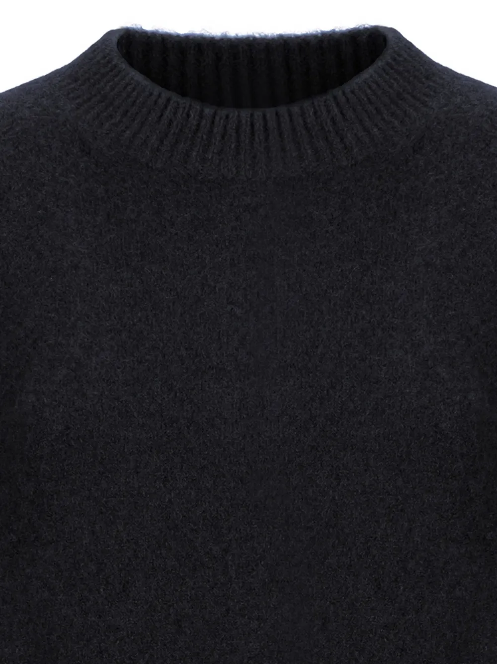 Laneus Crew-neck Sweater In Black