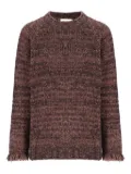 Laneus fringed crew-neck sweater - Brown